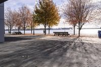 Toronto, Canada: House, Tree, Backyard Pier 008