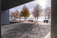 Toronto Canada House with Tree, Backyard, and Pier