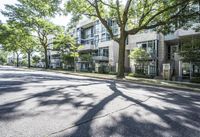 an empty street lined with trees next to a building in the middle of the day