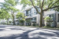 an empty street lined with trees next to a building in the middle of the day