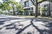 an empty street lined with trees next to a building in the middle of the day