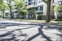 an empty street lined with trees next to a building in the middle of the day