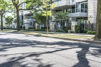 an empty street lined with trees next to a building in the middle of the day