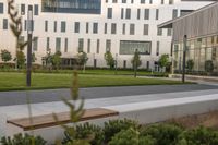 the bench is on the walkway in front of the building where there is a lawn and sidewalk