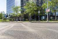 a small paved city street with large office buildings in the background and a few trees growing on the median