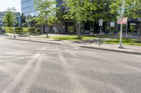 a small paved city street with large office buildings in the background and a few trees growing on the median