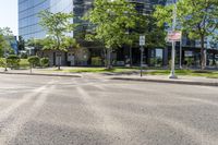 a small paved city street with large office buildings in the background and a few trees growing on the median