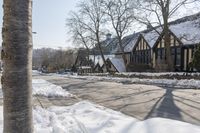 Residential Building with Trees in Toronto, Canada