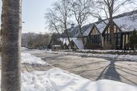 Residential Building with Tree in Toronto, Canada