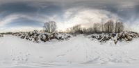 a snow covered field with tracks in the snow and a wall covered in trees with lots of snow