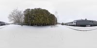 two trains parked side by side in snow with trees on either side of them, surrounded by white grass and branches