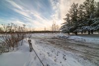 a road in winter with lots of snow and bushes in the background and a few clouds