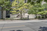 a street view with parking meters and trees in front of the building by the road