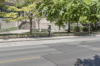 a street view with parking meters and trees in front of the building by the road