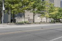 a street view with parking meters and trees in front of the building by the road