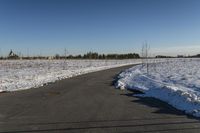 Toronto Canada Winter Landscape Road