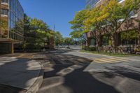 a small street surrounded by tall buildings in the city of minneapolis with trees and other plants