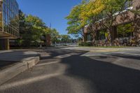 a small street surrounded by tall buildings in the city of minneapolis with trees and other plants