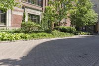 Toronto City Landscape: A Journey Down a Small Road