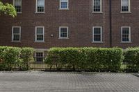 a tall brick building with windows and a few plants in the front of it,