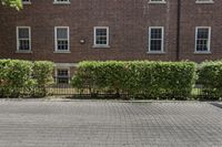 a tall brick building with windows and a few plants in the front of it,