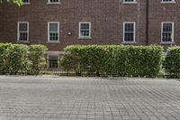 a tall brick building with windows and a few plants in the front of it,