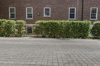 a tall brick building with windows and a few plants in the front of it,