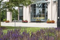 the entrance of a building with flowers and benches on the grass next to a tree