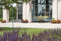 the entrance of a building with flowers and benches on the grass next to a tree