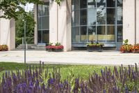 the entrance of a building with flowers and benches on the grass next to a tree