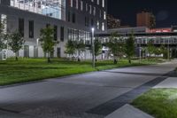 a city sidewalk has grass around it and illuminated trees on either side of it as well