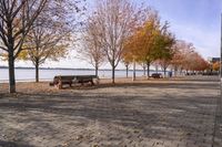 Toronto Cityscape: Waterfront in Autumn