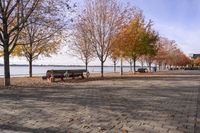 Toronto Cityscape: Waterfront in Autumn