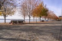 Toronto Cityscape: Waterfront in Autumn