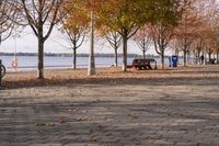 Toronto Cityscape: Waterfront in Autumn