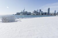 a snowy beach and the city skyline in the background in toronto, ontario canada, as seen from the frozen lakefront