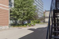 a sidewalk next to buildings and trees and steps up to the door of a building