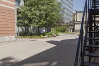 a sidewalk next to buildings and trees and steps up to the door of a building