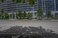 Toronto Condominium Neighborhood: A Profile View