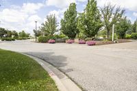 this city street looks like a deserted country side town center with many plants and flowers