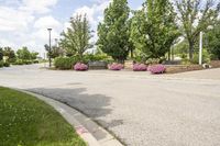 this city street looks like a deserted country side town center with many plants and flowers