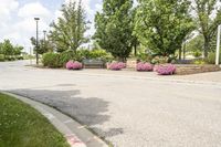 this city street looks like a deserted country side town center with many plants and flowers