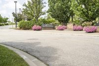 this city street looks like a deserted country side town center with many plants and flowers