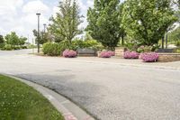 this city street looks like a deserted country side town center with many plants and flowers