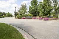 this city street looks like a deserted country side town center with many plants and flowers