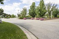 this city street looks like a deserted country side town center with many plants and flowers