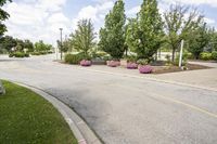 this city street looks like a deserted country side town center with many plants and flowers