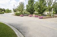 this city street looks like a deserted country side town center with many plants and flowers