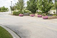 this city street looks like a deserted country side town center with many plants and flowers