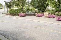 this city street looks like a deserted country side town center with many plants and flowers